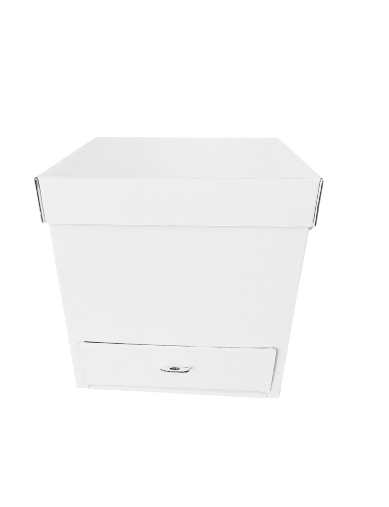 CUBO 22 CAJON BCO (PAQ DE 5 PZAS)
