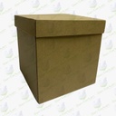 CUBO 22 KFT (PAQ DE 10 PZAS)