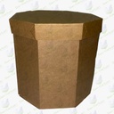 CAJA OCTAGONAL KFT (PAQ DE 10 PZAS)