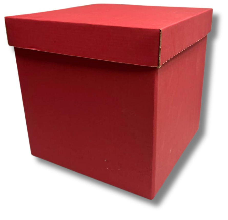 CUBO 22 ROJO (PAQ DE 10 PZAS)