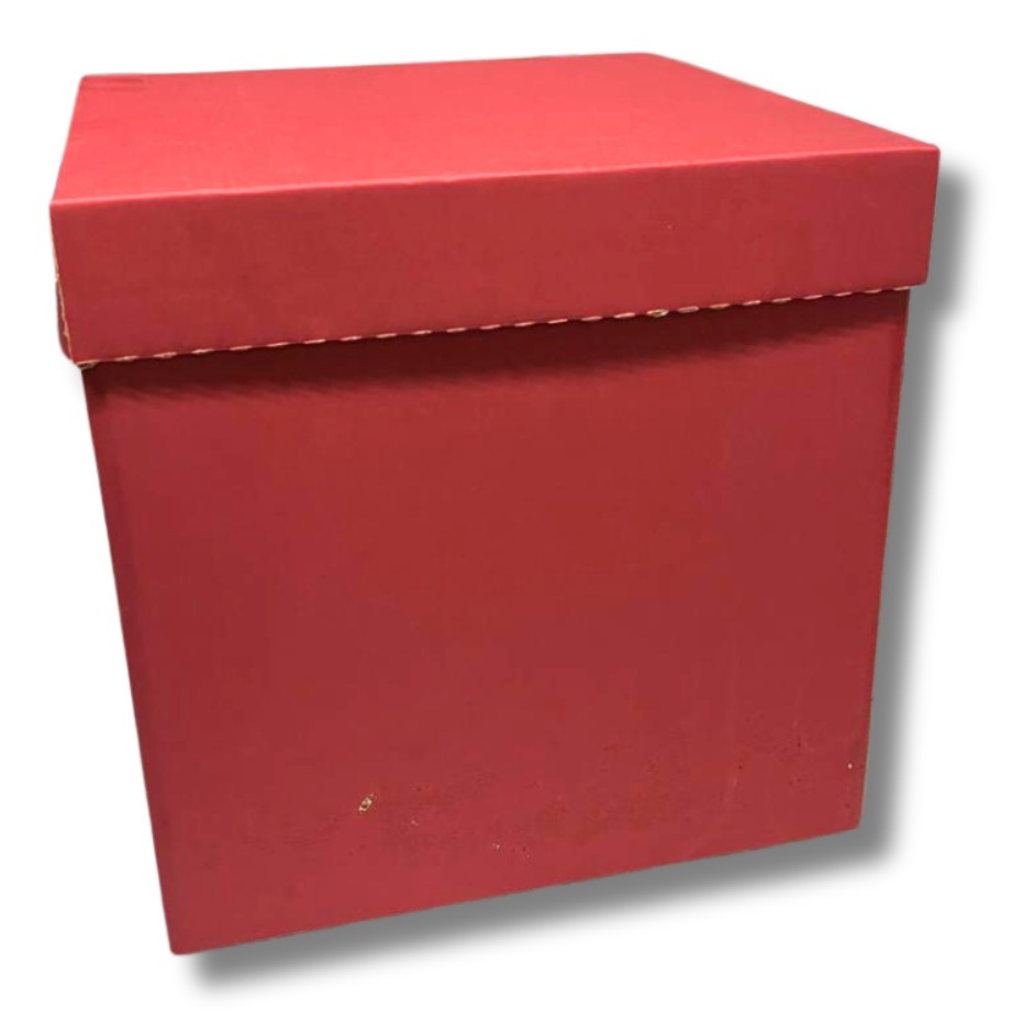 CUBO 30 ROJO (PAQ DE 5 PZAS)