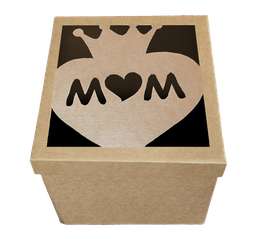 [CL0081] CUBO 30 KFT MOM (PAQ DE 10 PZAS)